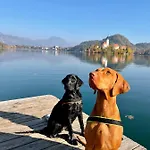 Grad - Sauna & Hot Tub Appartamento Bled